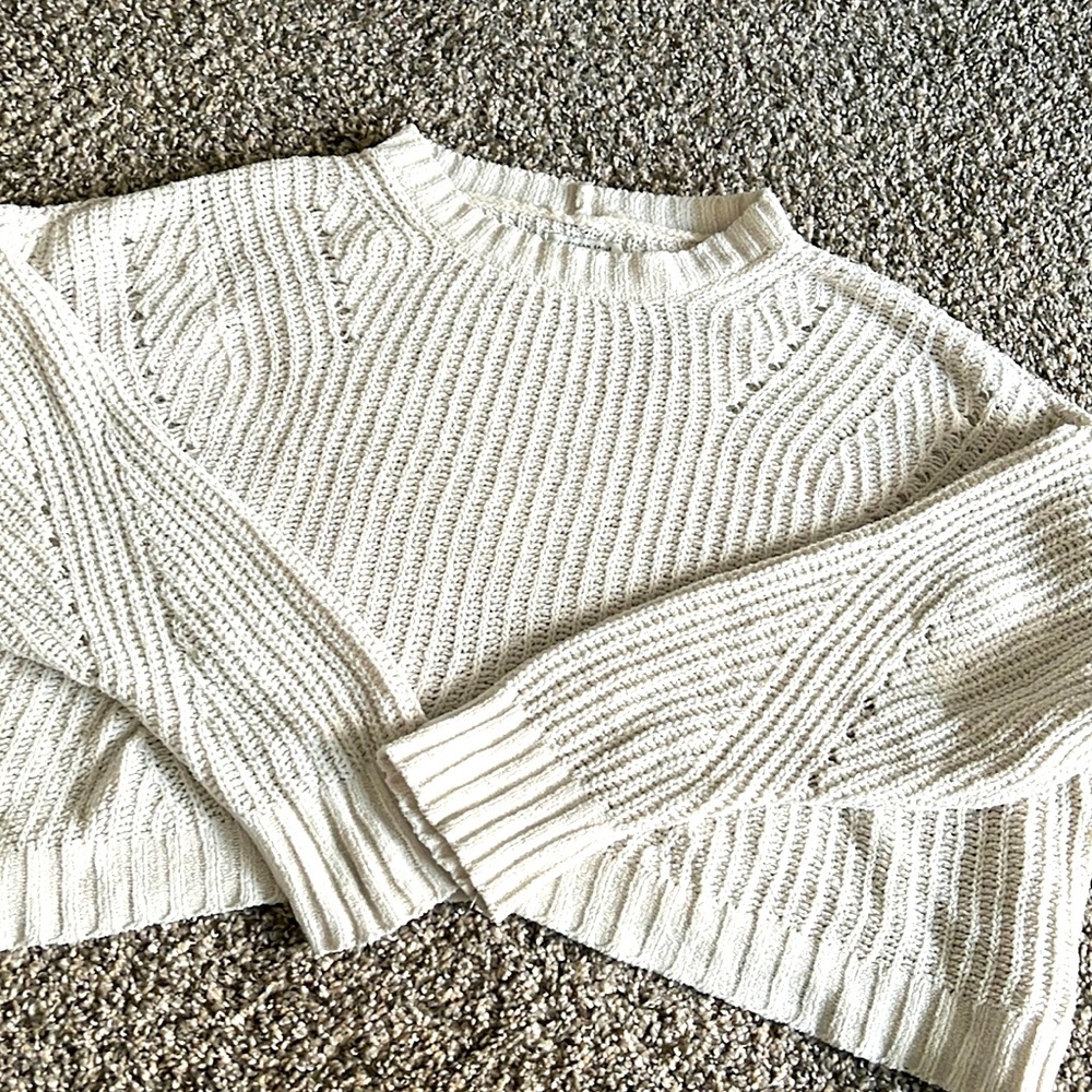 Cropped American eagle sweater